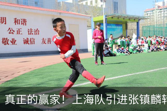 真正的赢家！上海队引进张镇麟转会费曝光，夺冠后总营收正式出炉