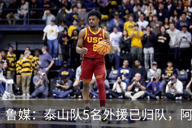 鲁媒：泰山队5名外援已归队，阿尔瓦罗6月份复出难度比较大